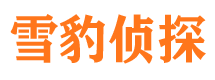 三元侦探公司